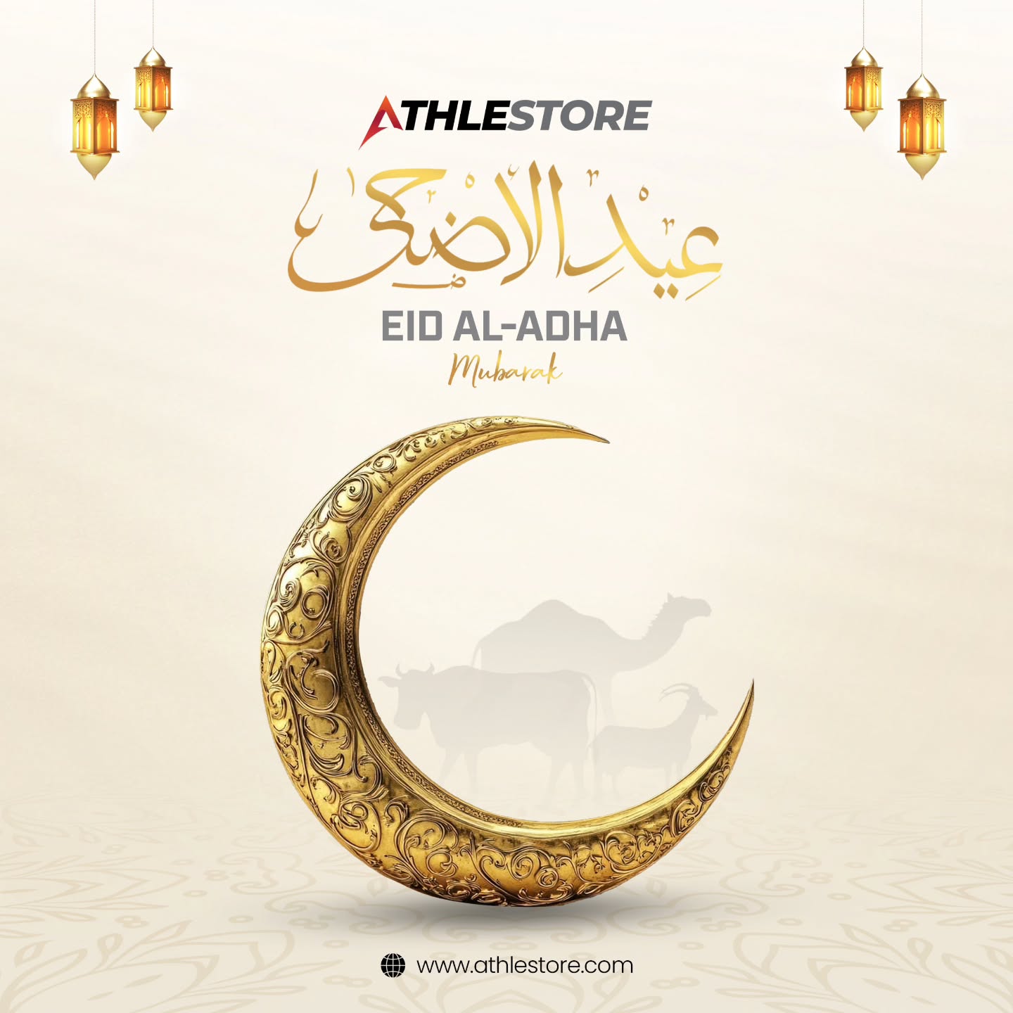 504264751 1292710242447021 6439925654882773570 n