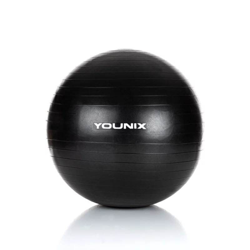 Stability Ball Pro 65 - Image 1