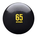 ZVO 75 cm Anti-Burst Core-Fit Ball