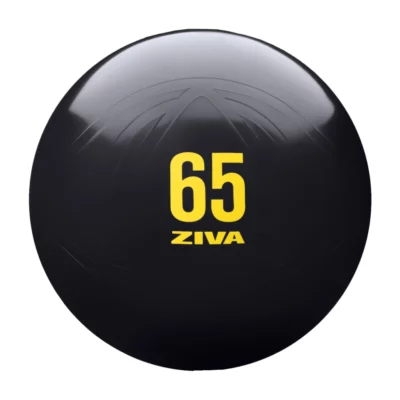ZIVA 55cm Anti-Burst Ball w/ hand pump