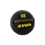 ZIVA Performance Wall Ball 5 kg