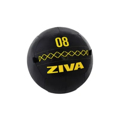 ZIVA Performance Wall Ball 2 kg