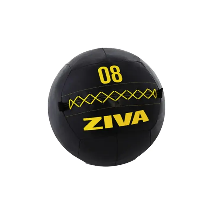 ZIVA Performance Wall Ball 1